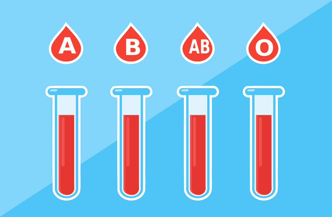 혈액형은 A, B, AB, O 4가지가 있습니다. 